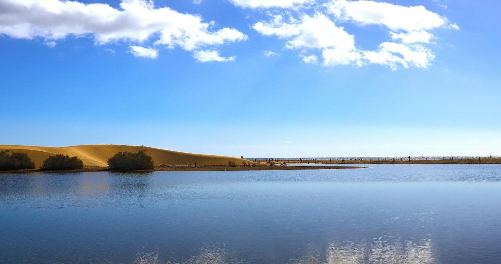 Dunaoasis Maspalomas المظهر الخارجي الصورة