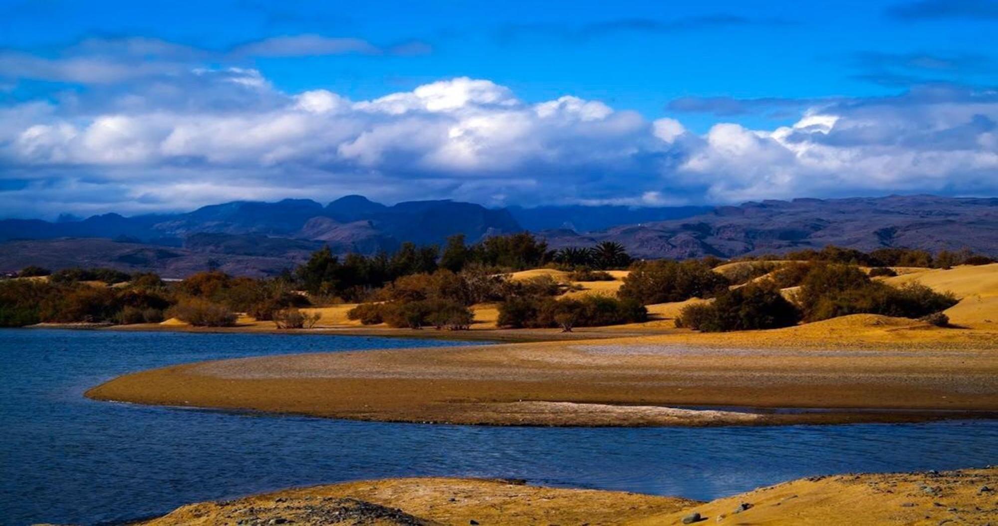 Dunaoasis Maspalomas المظهر الخارجي الصورة